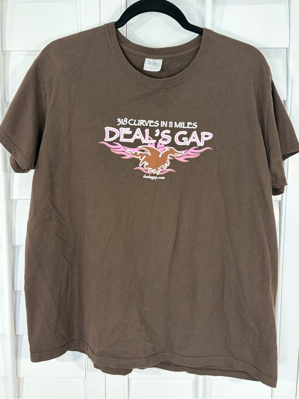 Deal's Gap Brown Graphic Tee "318 Curves in 11 Miles" (XL)